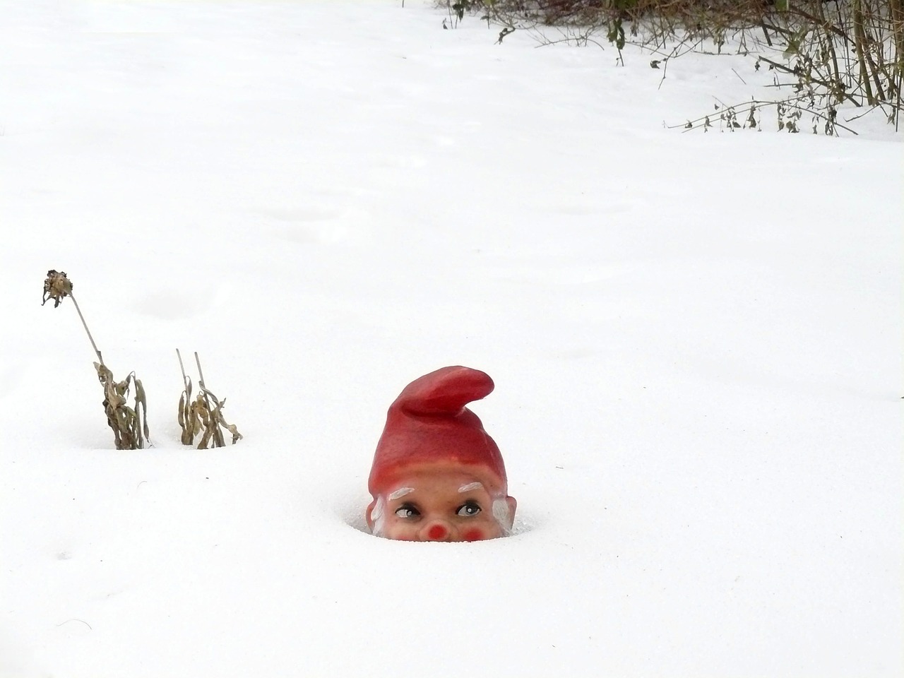 garden gnome winter snow free photo