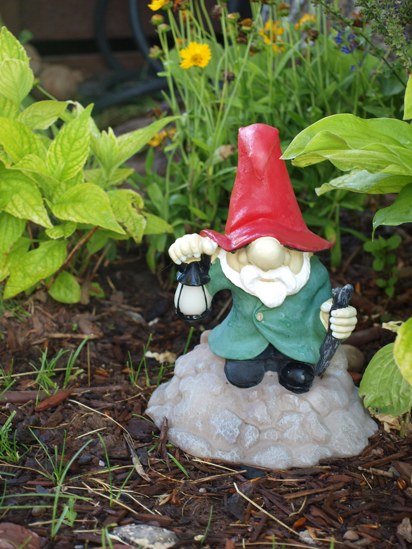 garden gnome garden gnome free photo