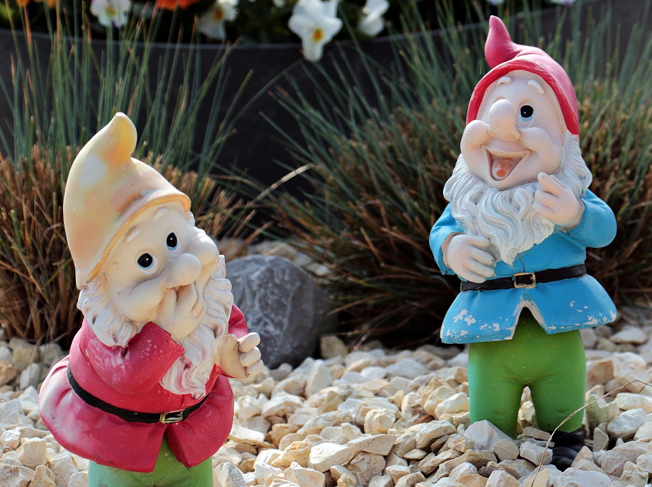 garden gnomes dwarfs decoration free photo