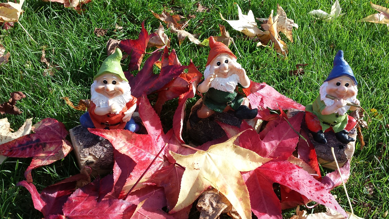 garden gnomes dwarf autumn free photo