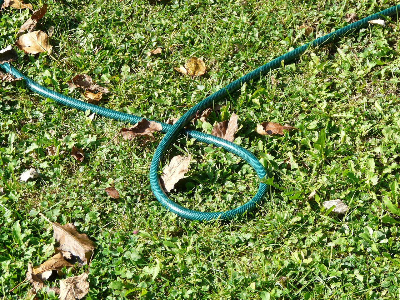 garden hose hose irrigation free photo