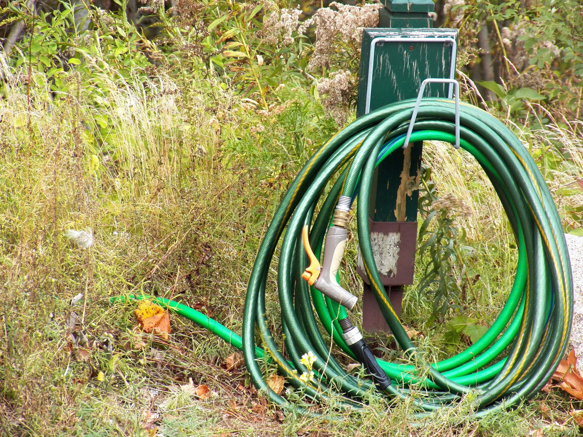 hose hoses garden hose free photo