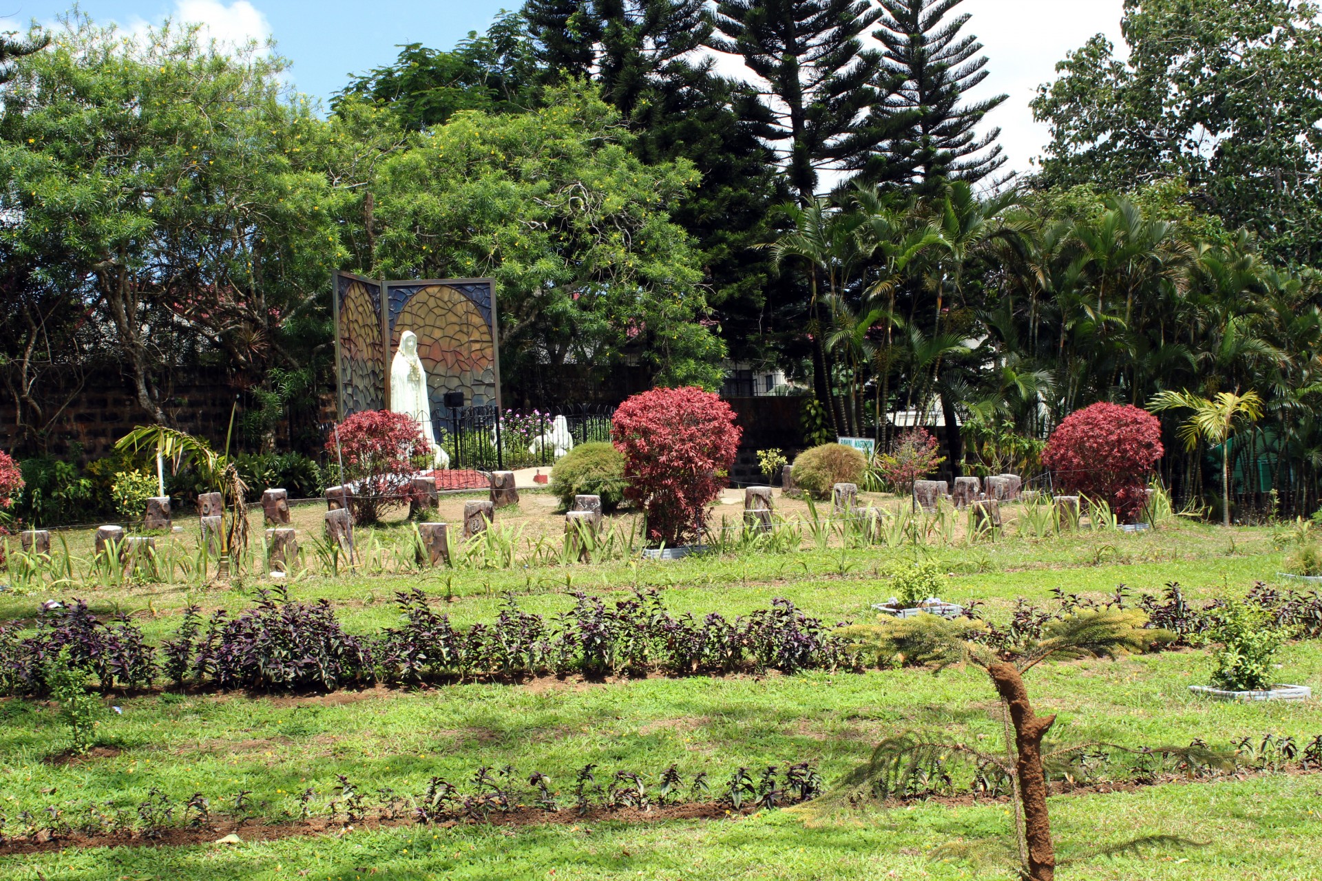 landscape plants trees free photo