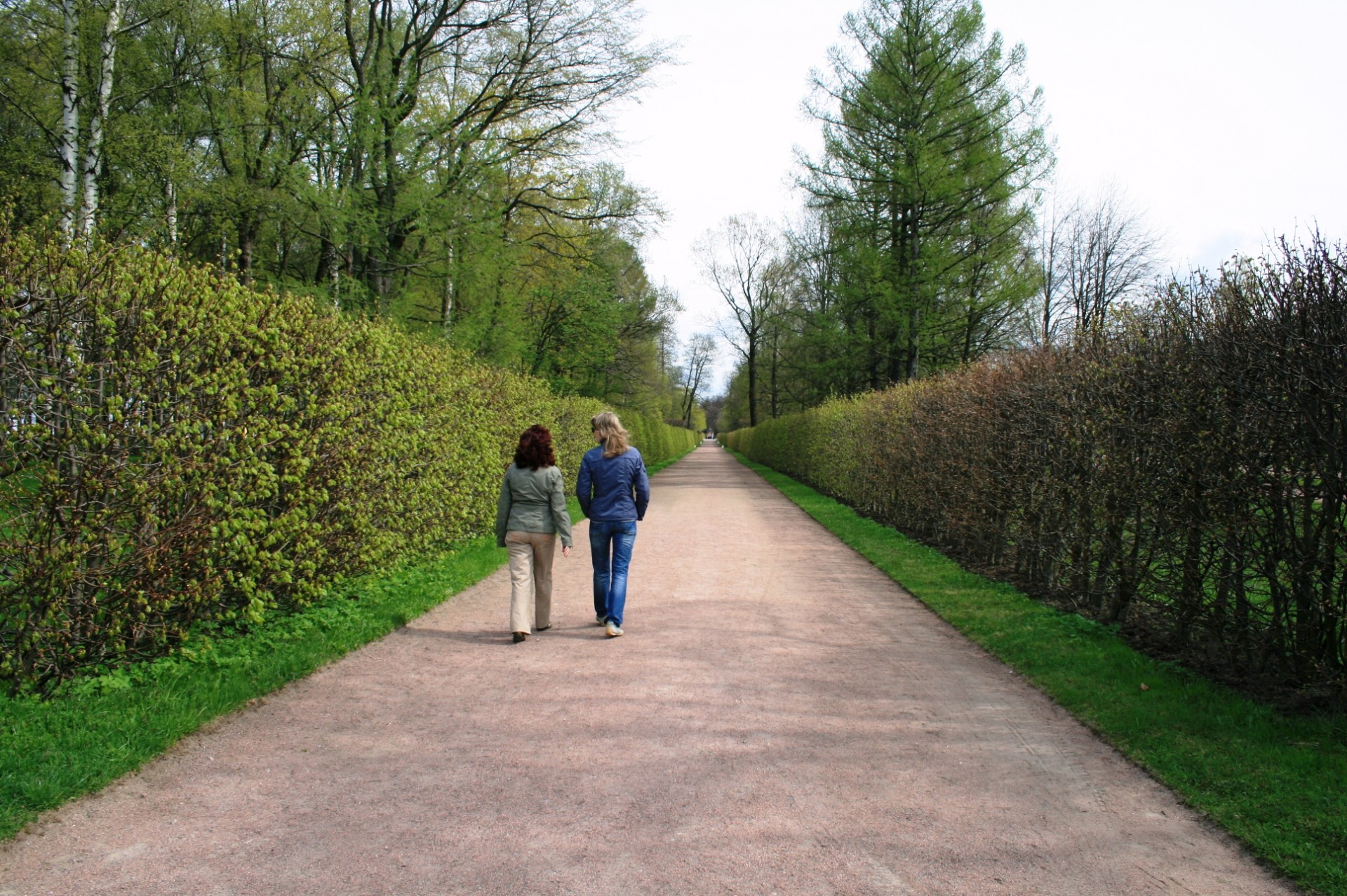 path straight pedestrian free photo