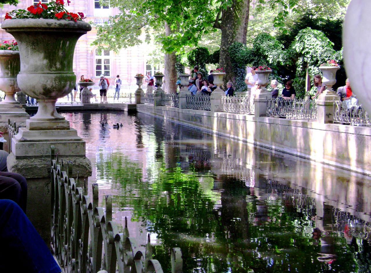 pond garden trees free photo