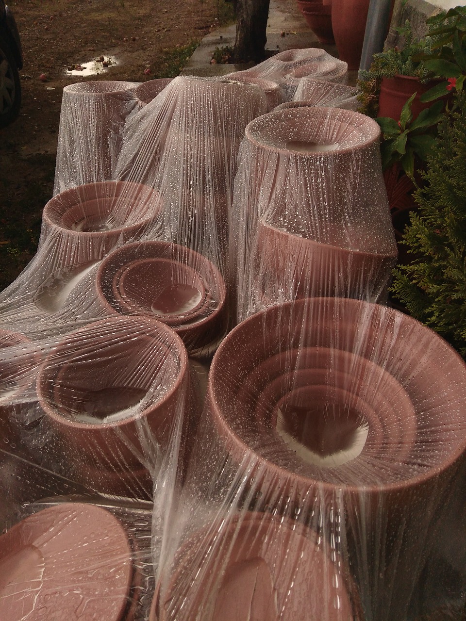garden pottery covered rain raindrops free photo