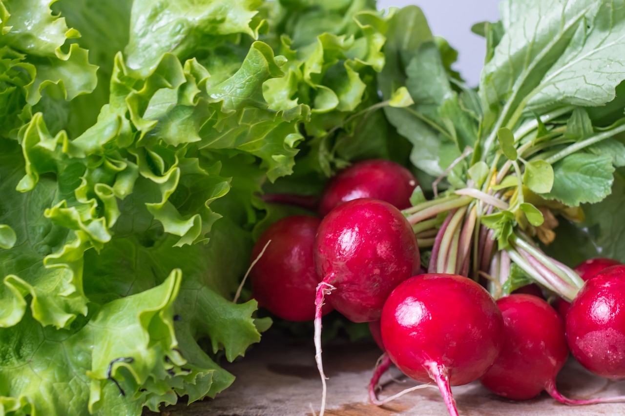 garden radish vegetables healthy free photo