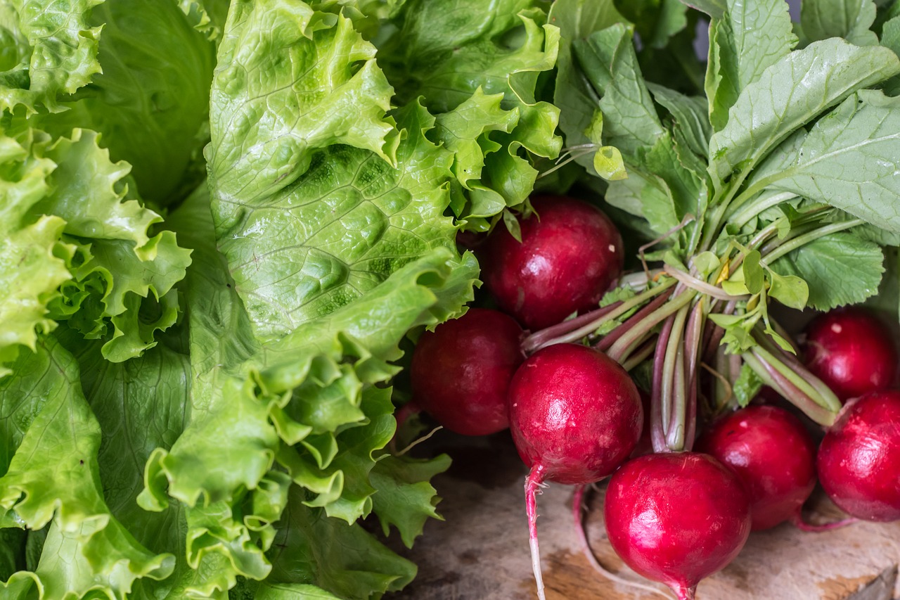 garden radish vegetables healthy free photo