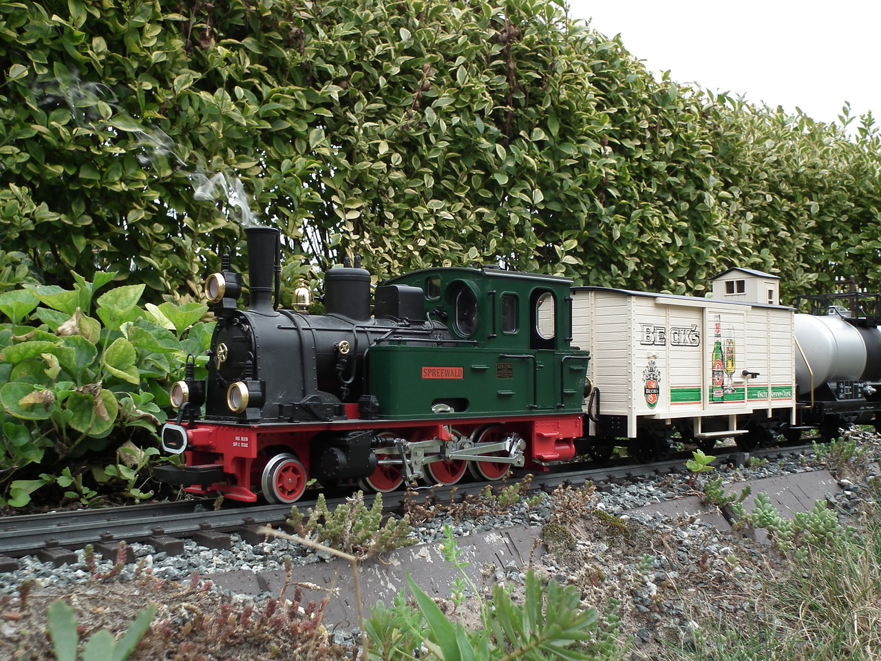 garden railway steam locomotive spreewald free photo