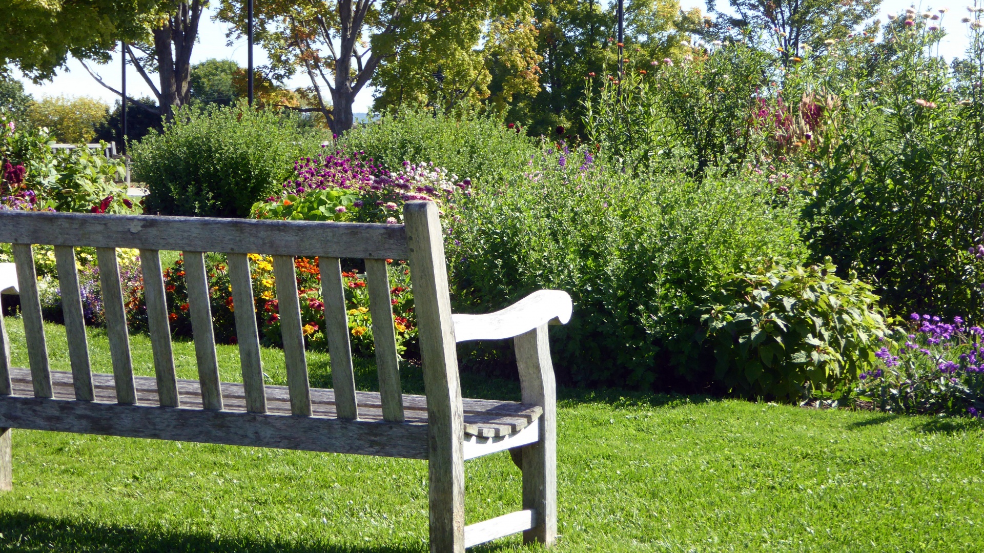 garden bench flowers free photo