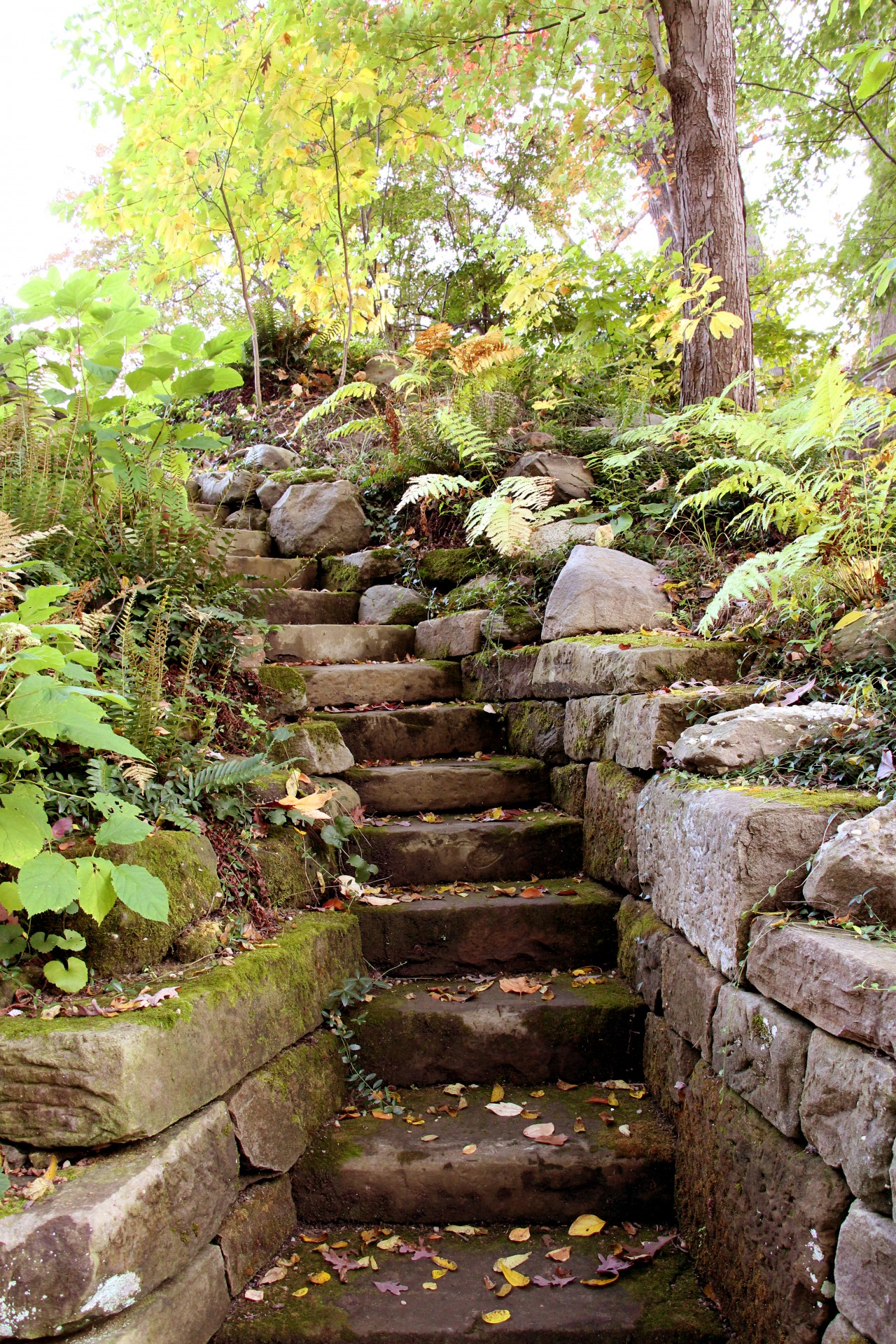 garden garden steps stone steps free photo