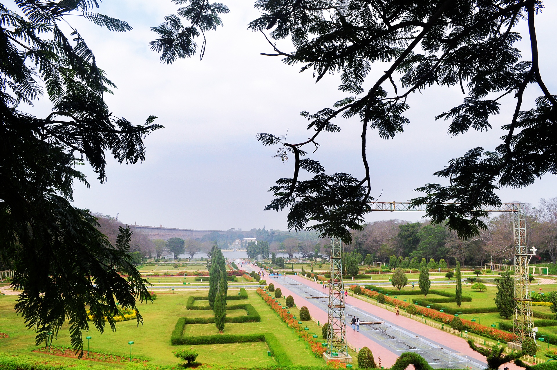 garden green nature free photo