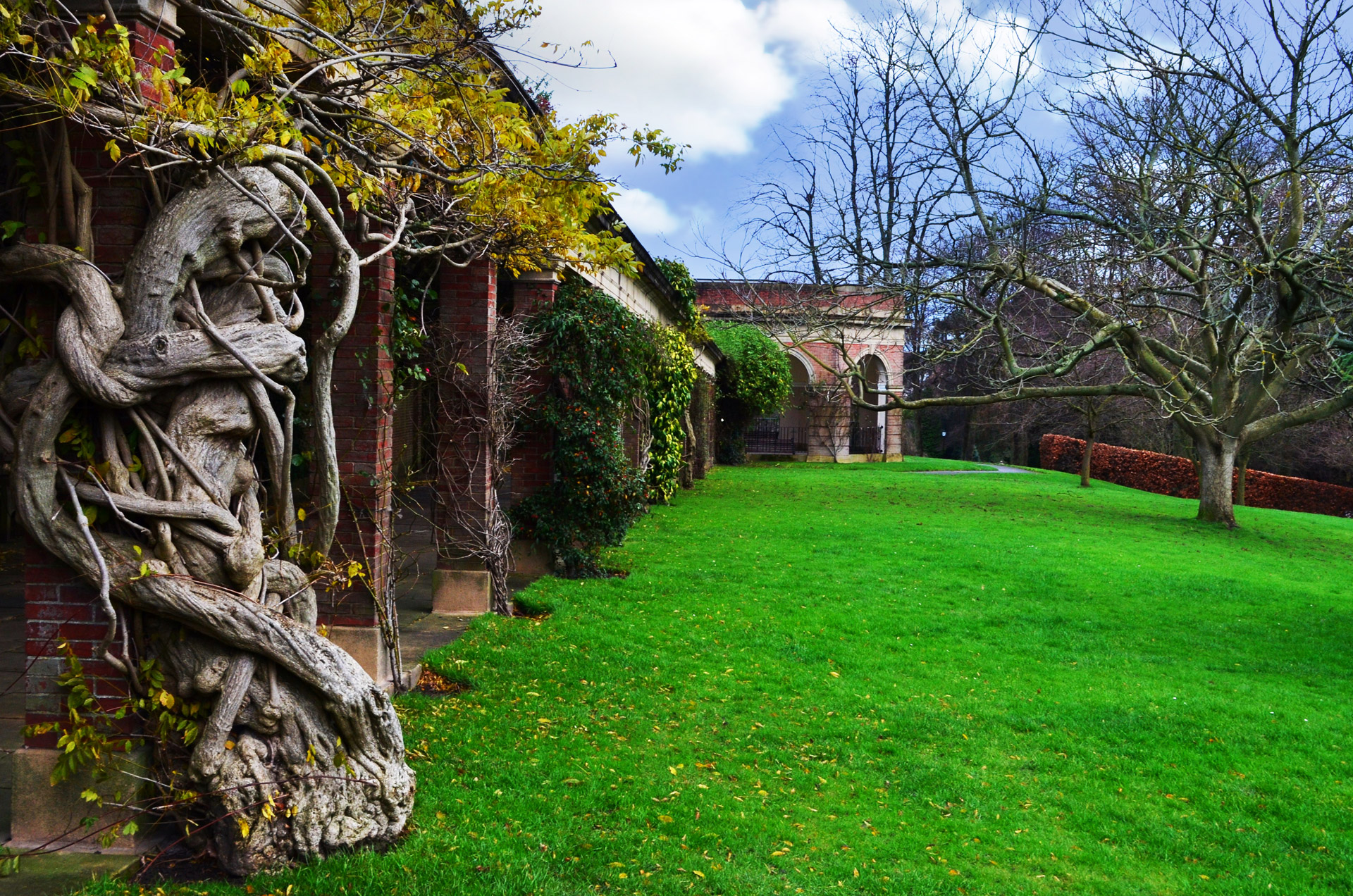 garden architecture tree free photo