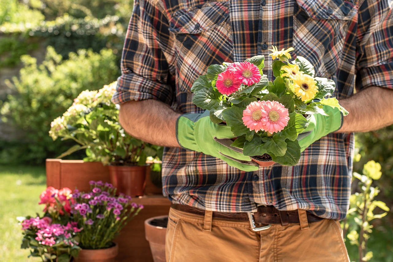 gardener  gardening  flower free photo