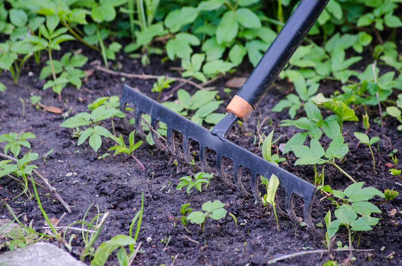 gardening rake garden free photo