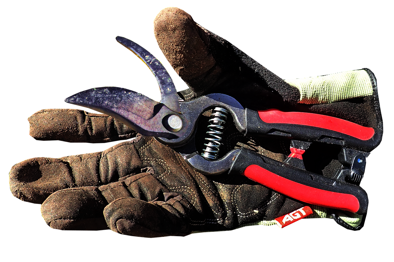 gardening  work  glove free photo