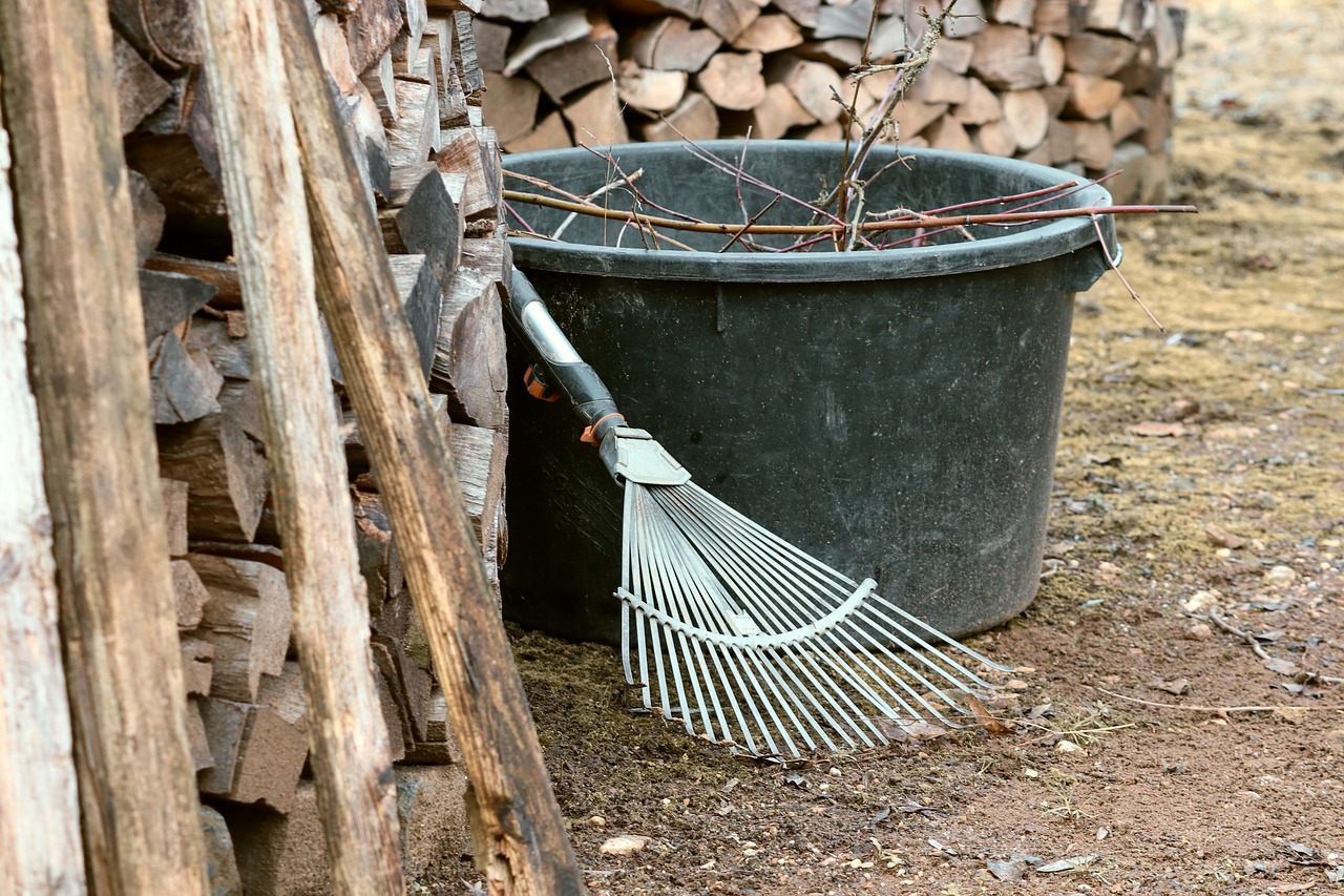 gardening  computing  raking leaves free photo