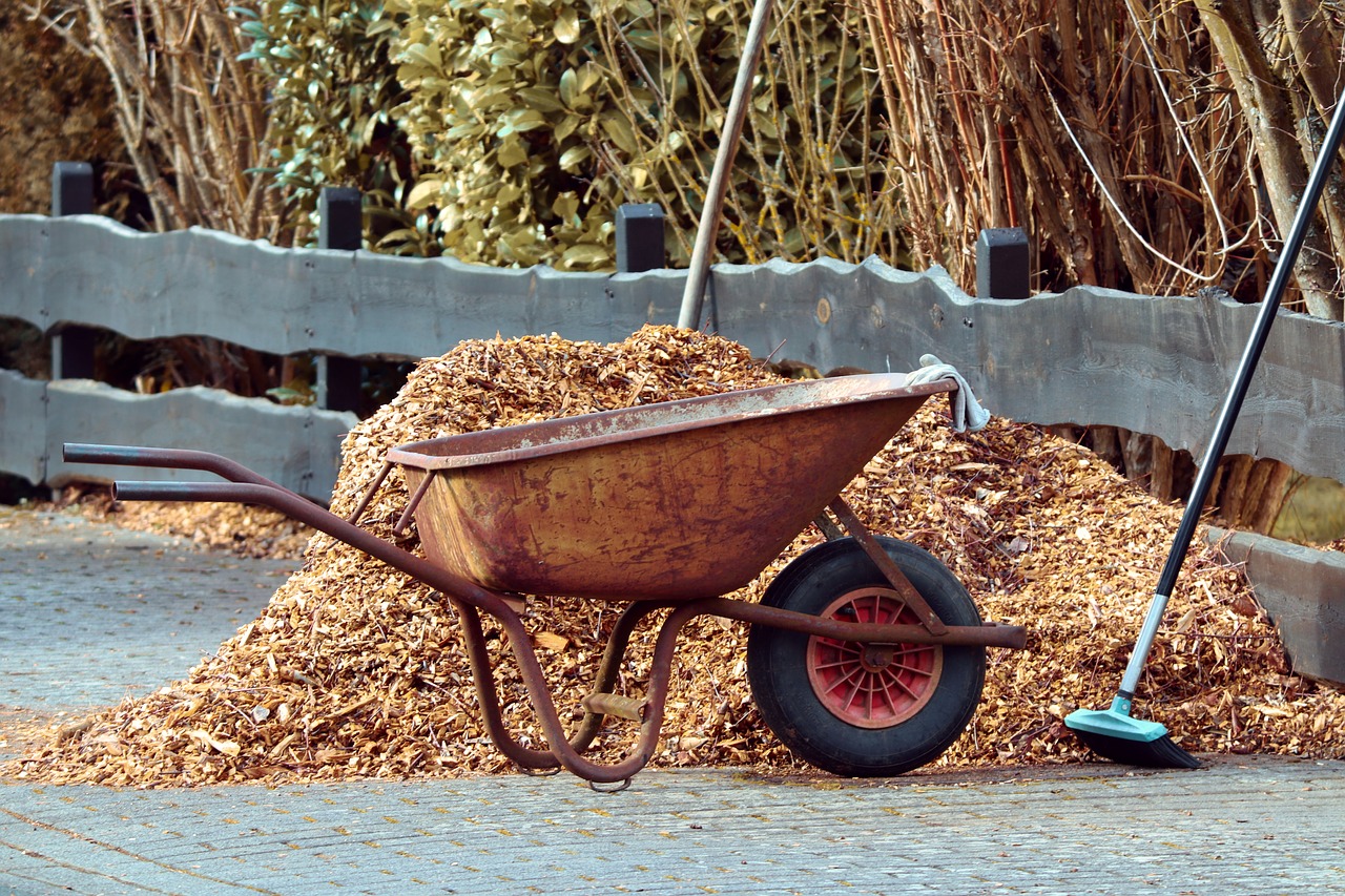 gardening  wheelbarrows  broom free photo