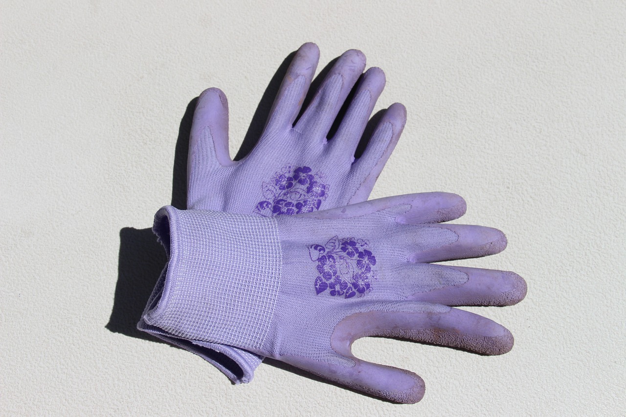 gardening gloves purple gloves free photo