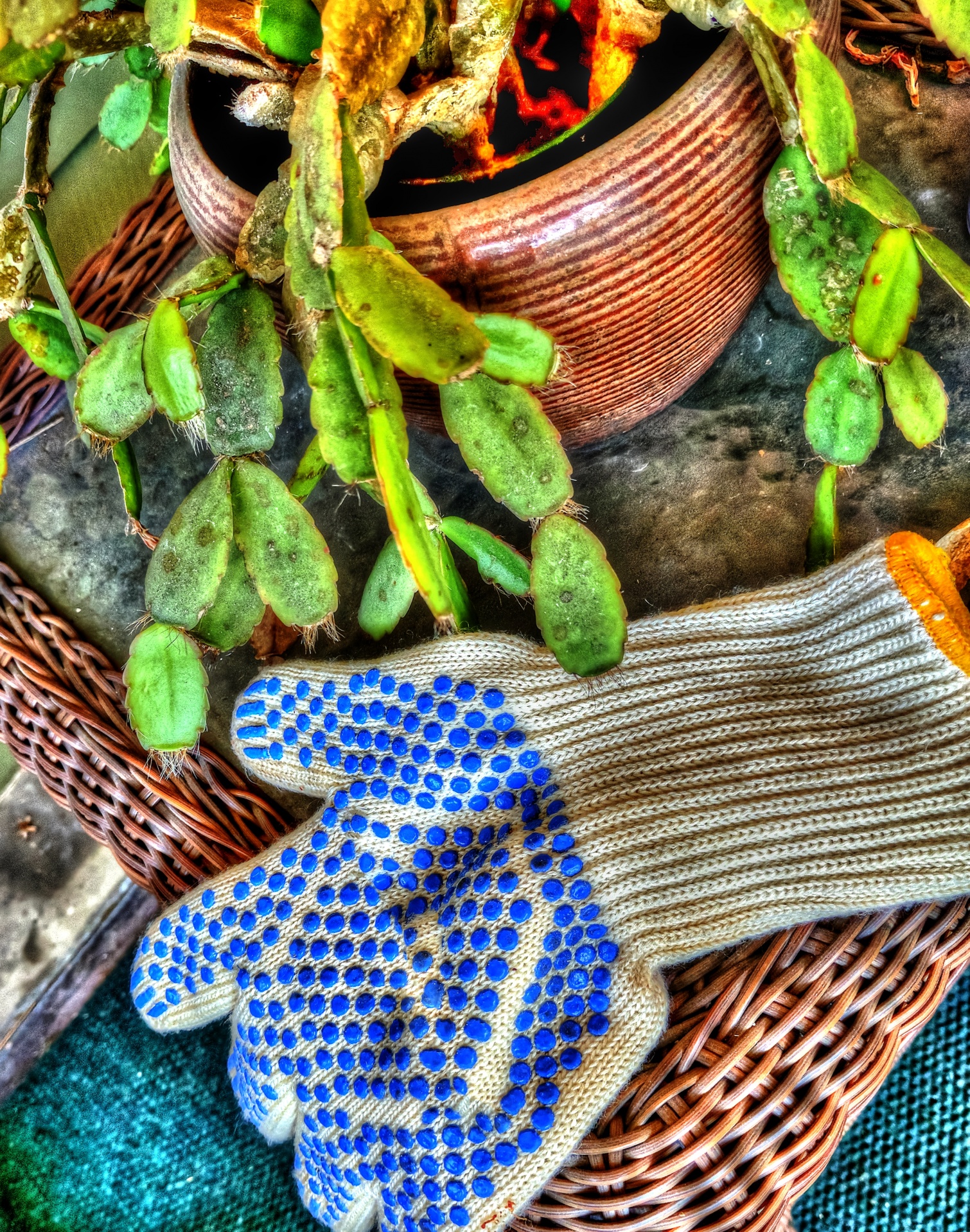garden gardening glove free photo