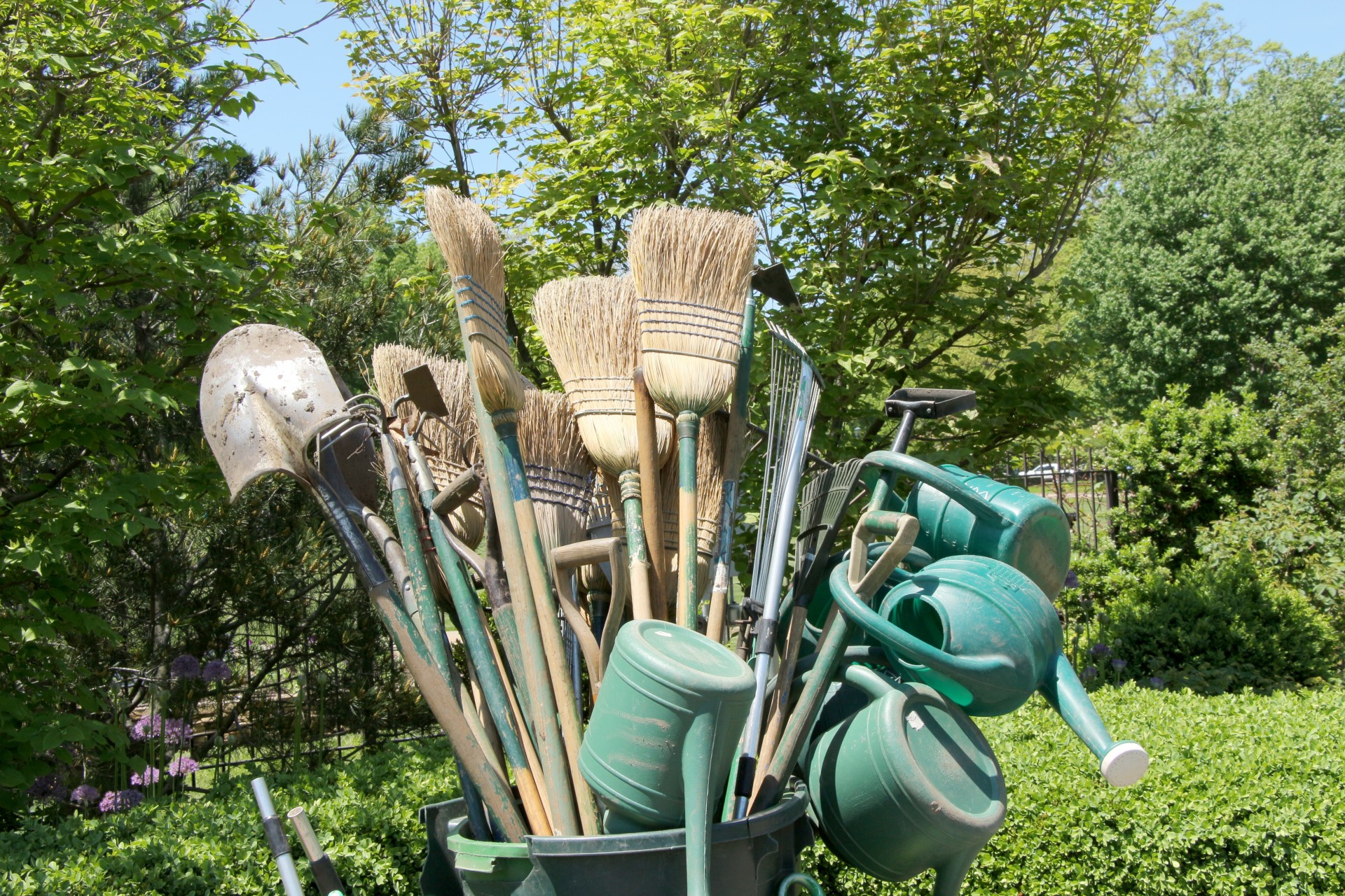 garden tools tools horticulture free photo
