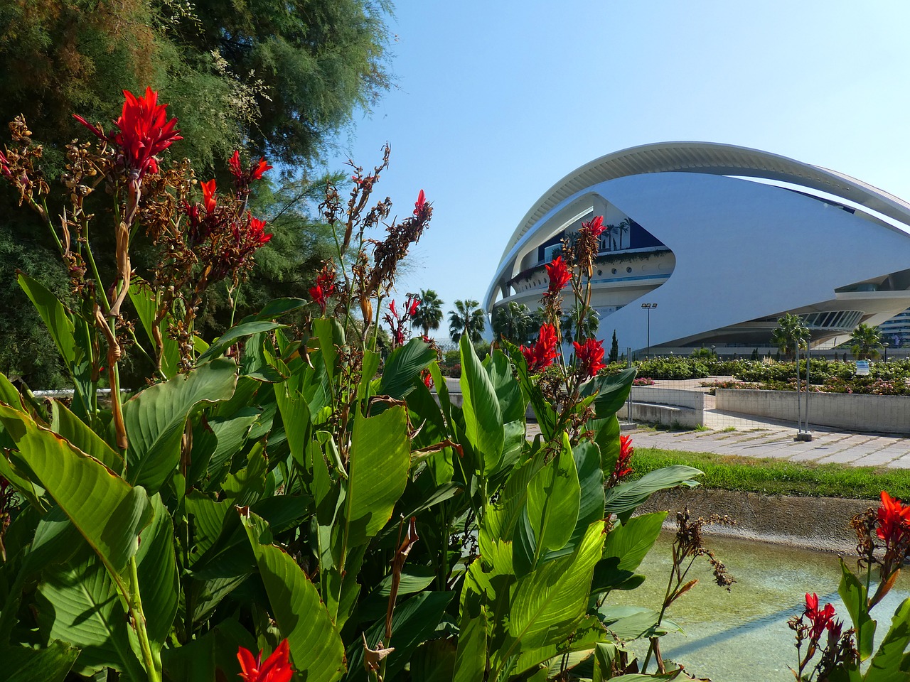 gardens turia valencia free photo