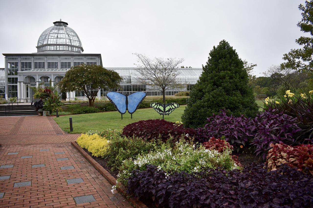 gardens  botanical  observatory free photo