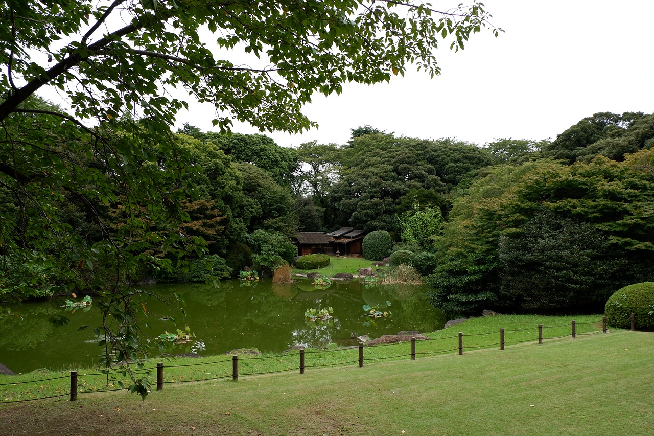 gardent  tree  green free photo