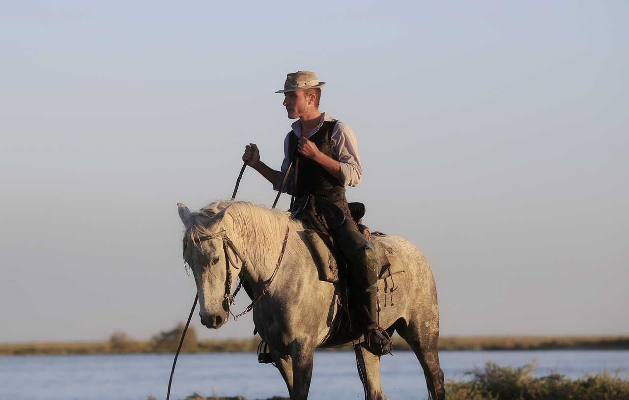 gardian horse horses free photo