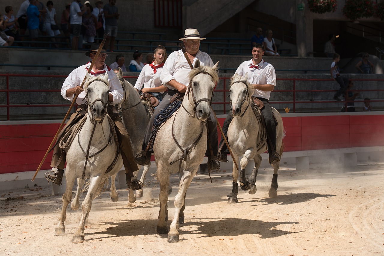 gardians horses horse free photo