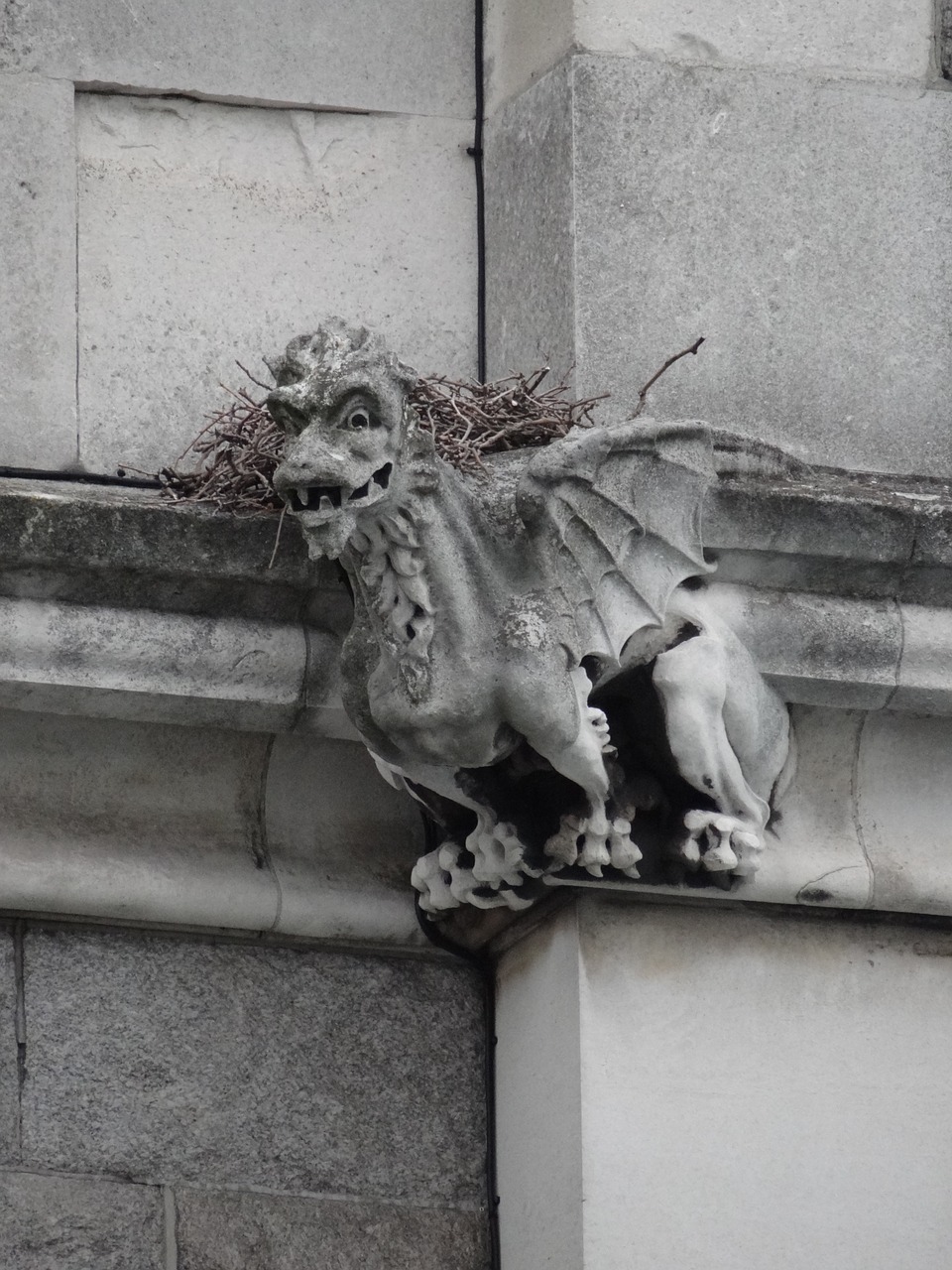 gargouille gargoyle nest free photo