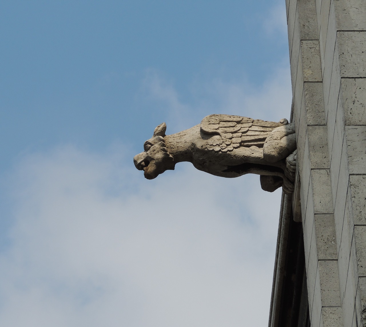 gargoyle grotesque sky free photo