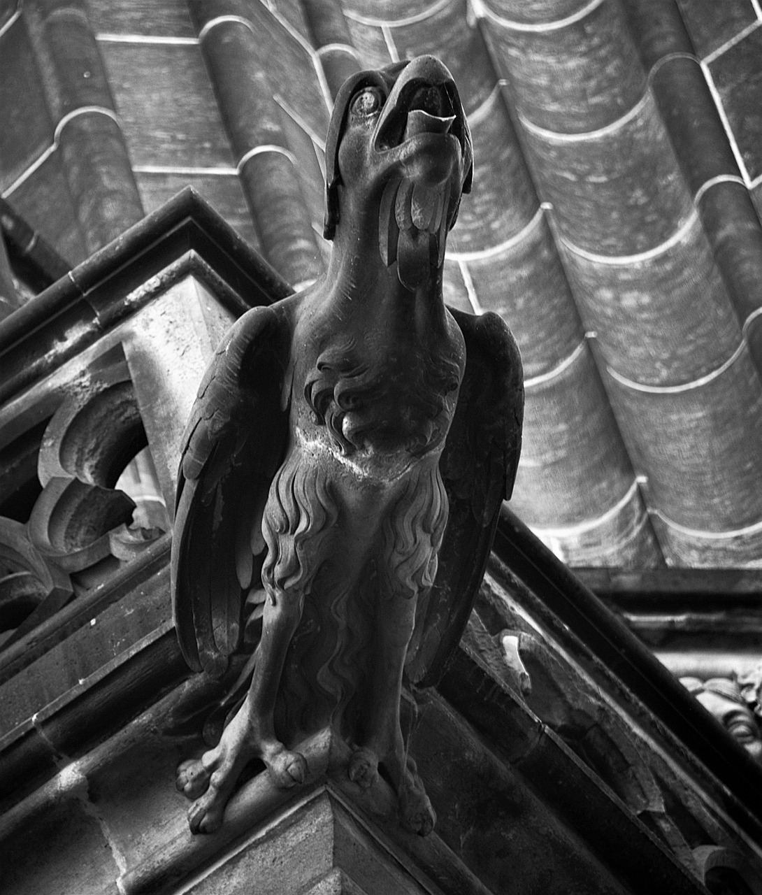 gargoyle st vitus cathedral prague free photo