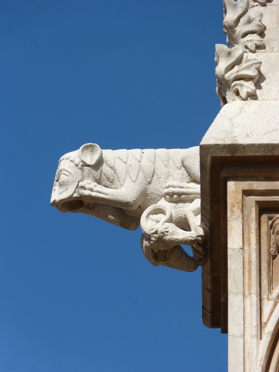 gargoyle gothic tarragona cathedral free photo