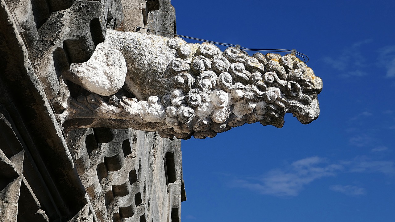 gargoyle musée réattu arles free photo