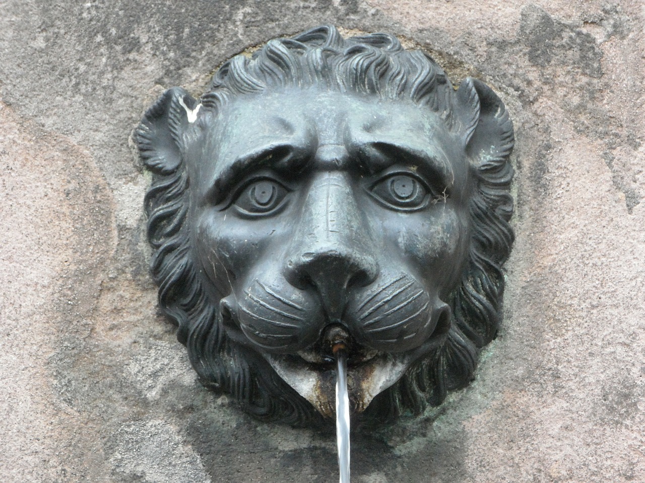 gargoyle fountain lion free photo