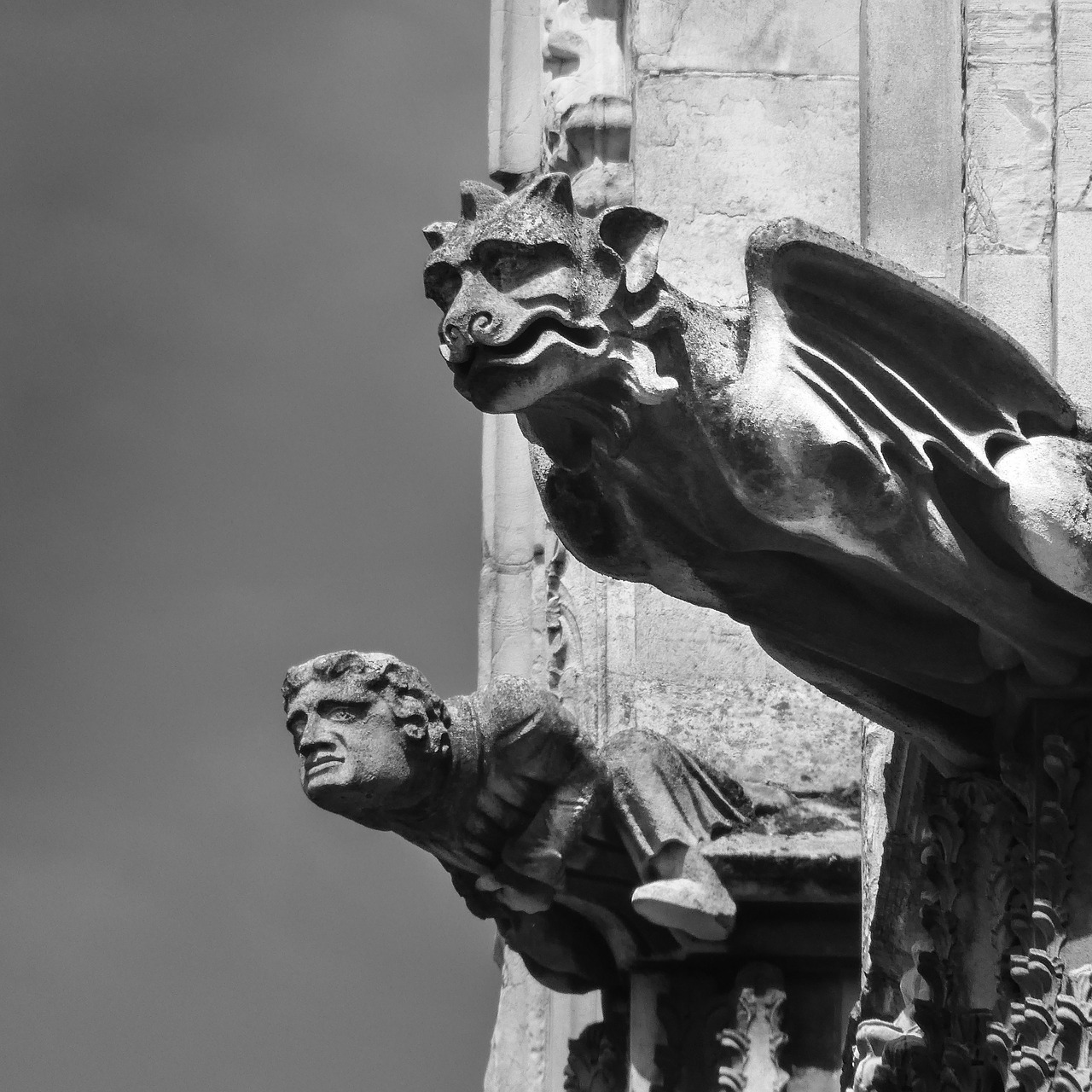 gargoyle sculpture gothic free photo