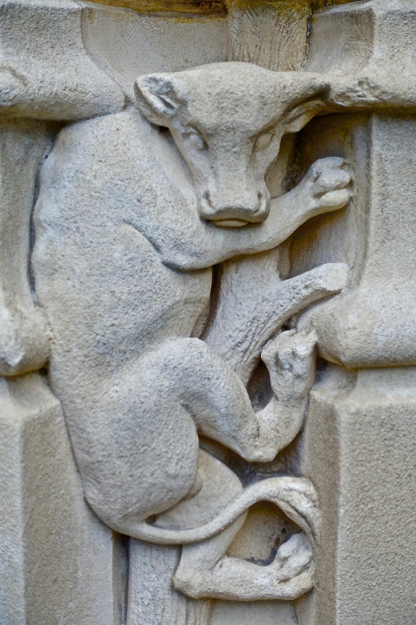 gargoyle  sculpture  bull free photo