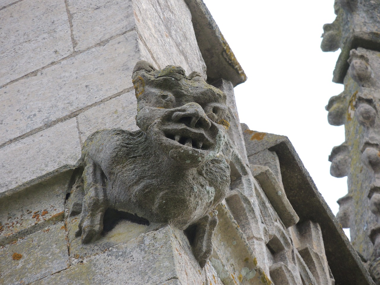 gargoyle church tower free photo