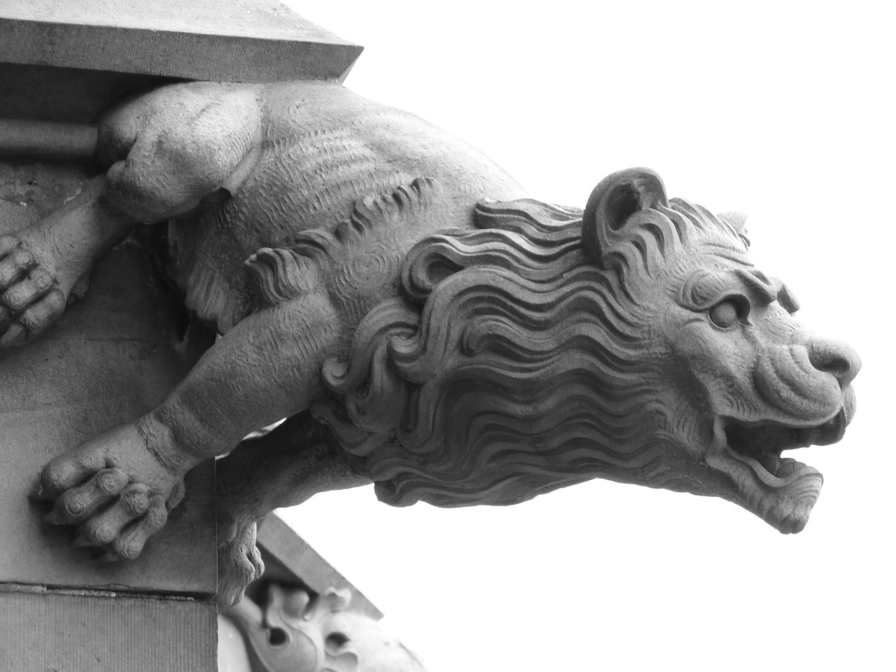 gargoyle lion mythical creatures free photo