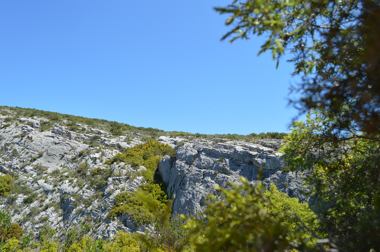 garigue  marseille  france free photo