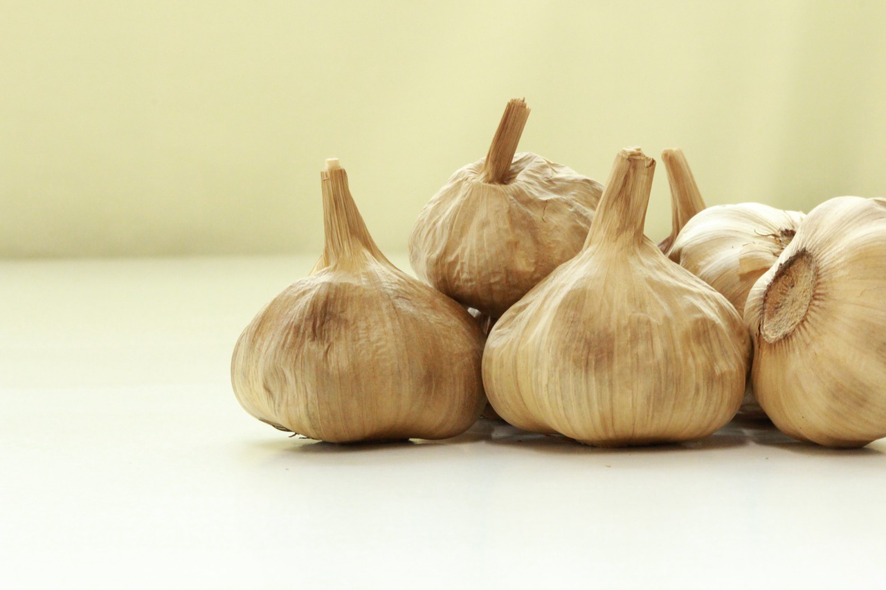 garlic black garlic aged garlic free photo