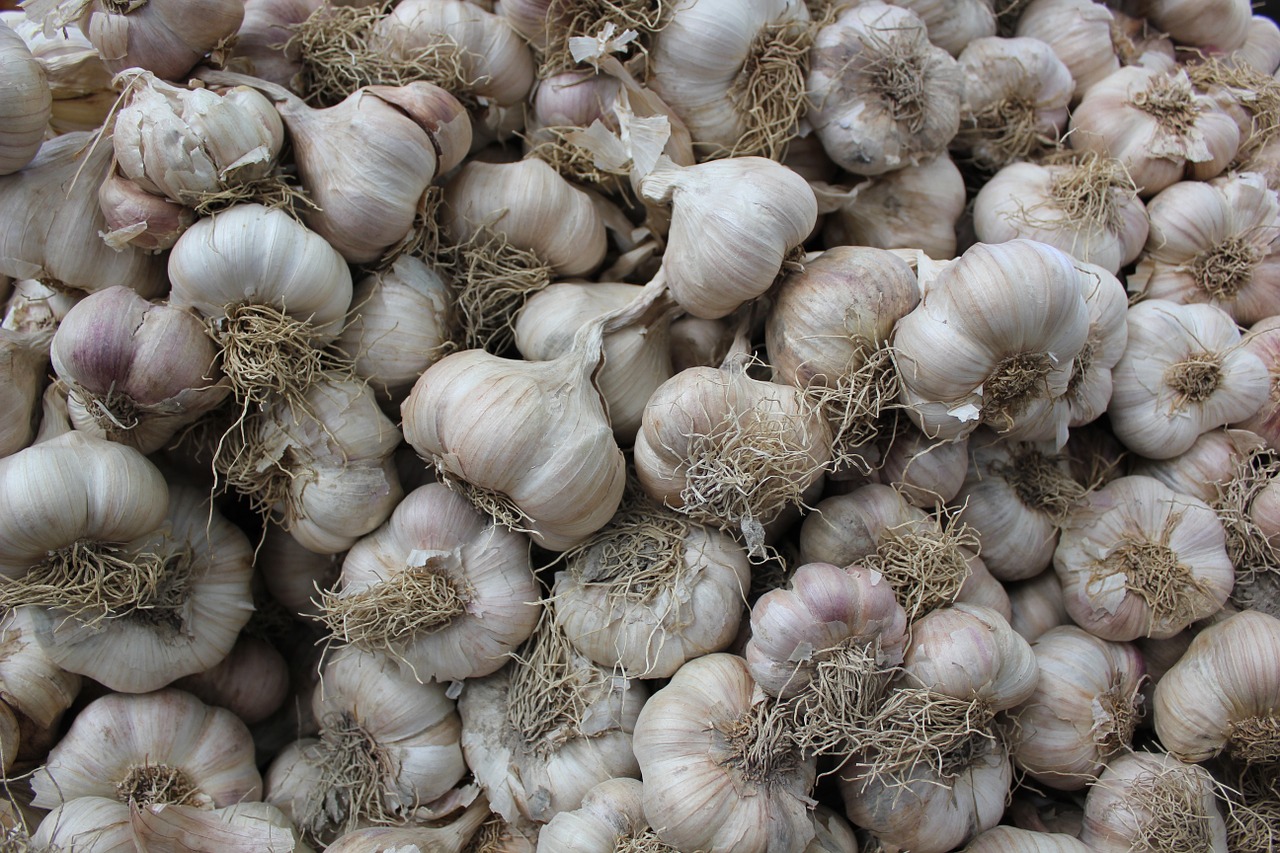 garlic texture background free photo