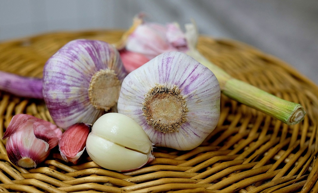 garlic substantial smell free photo