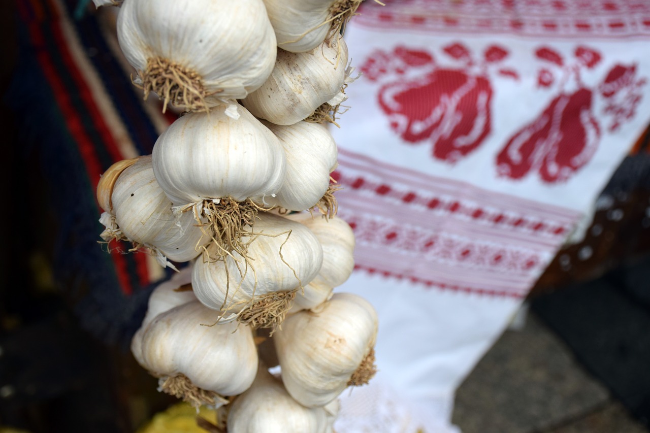 garlic food cooking free photo