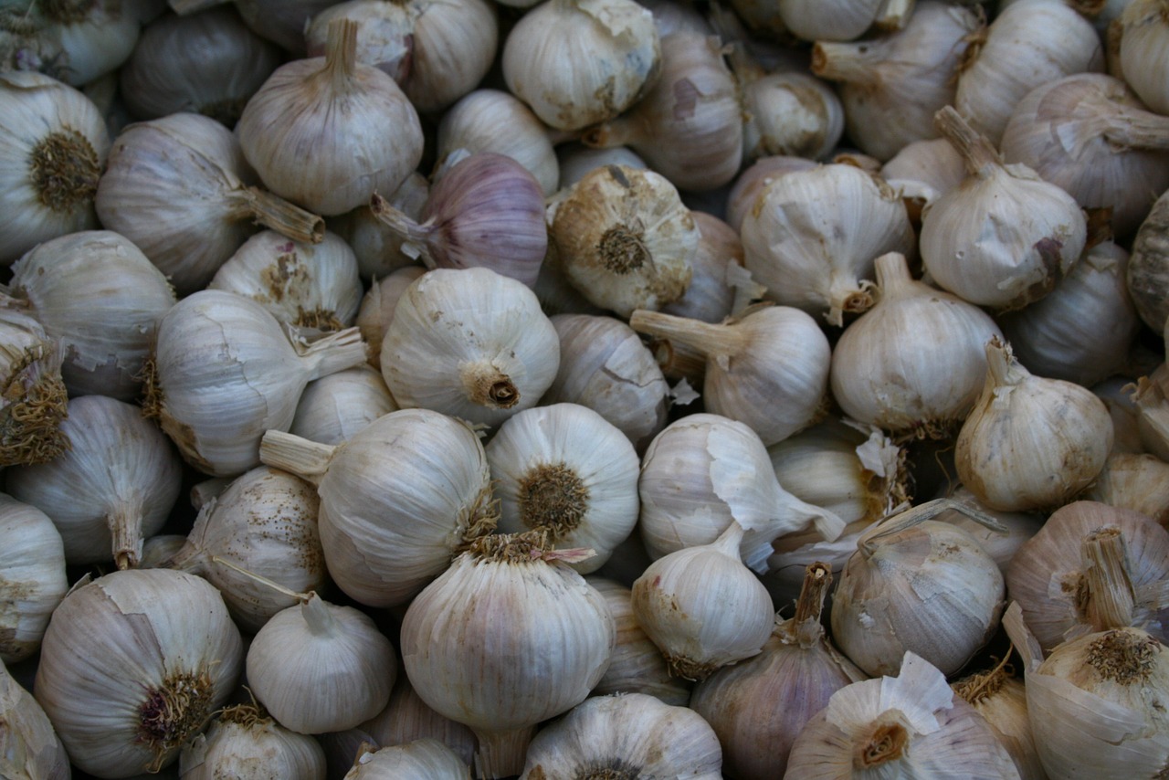 garlic market food free photo
