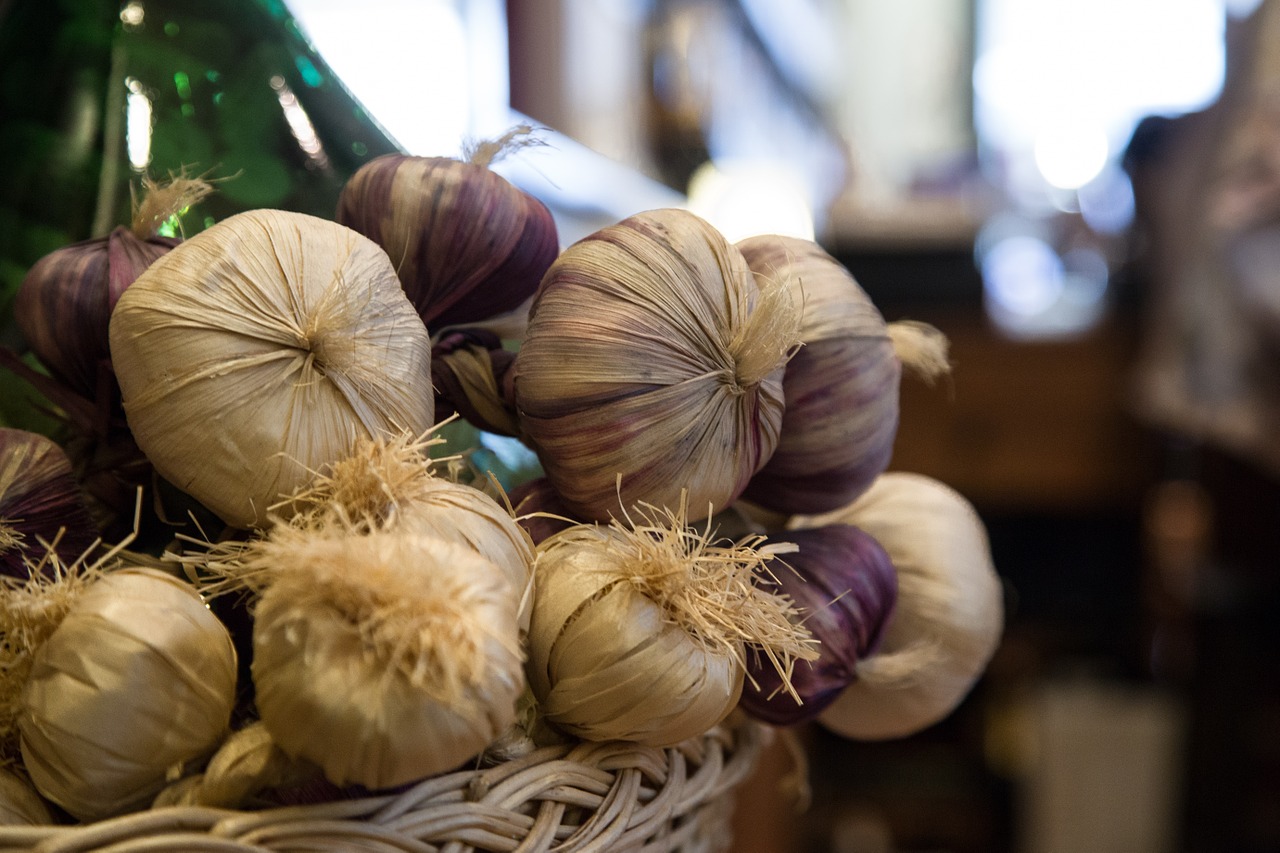 garlic market food free photo