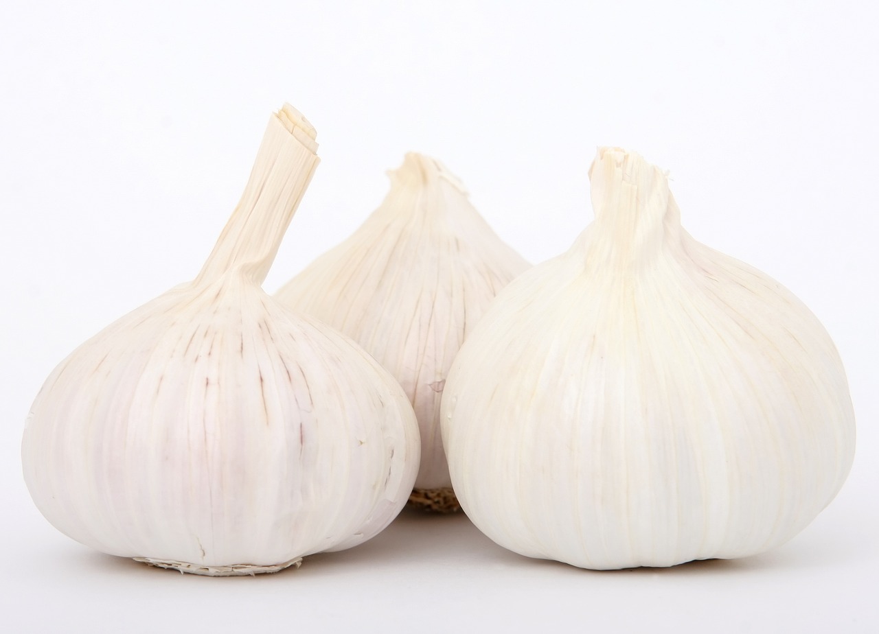 garlic cook cookery free photo