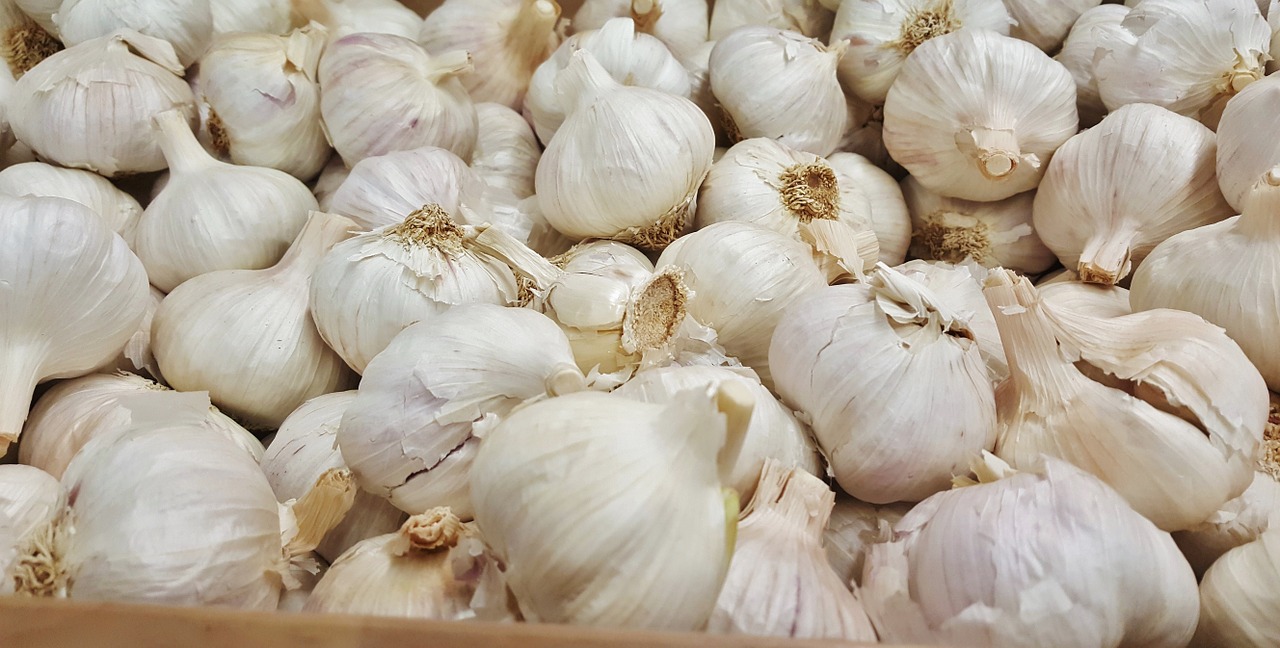 garlic bulb bulbous free photo
