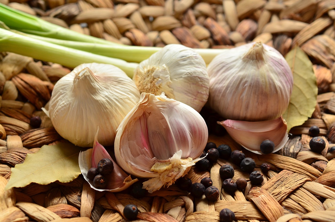 garlic tubers herb free photo